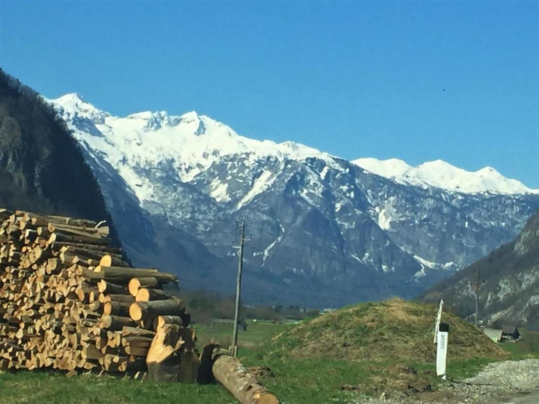 Appartamento Bohinj Barn Esterno foto